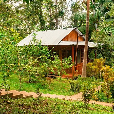 Cabanas Dechi Puerto Nariño Exterior foto